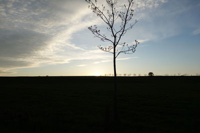 Bare trees on field against cloudy sky