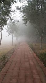 Empty footpath by trees against sky