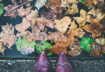 Low section of person standing on dry leaves
