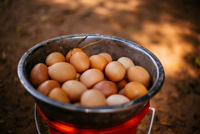 Eggs on the farm