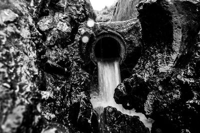 Low angle view of trees