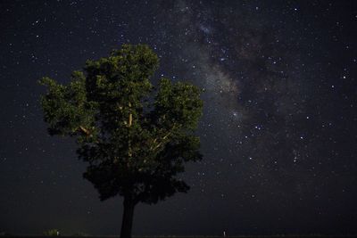 Low angle view of stars in sky at night