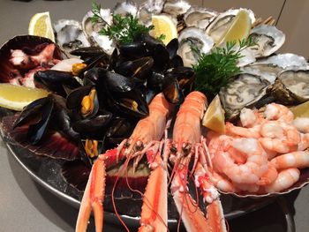 High angle view of fish in plate