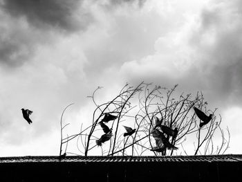 Low angle view of silhouette birds on roof against sky