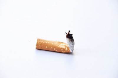 Close-up of smoking cigarette against white background
