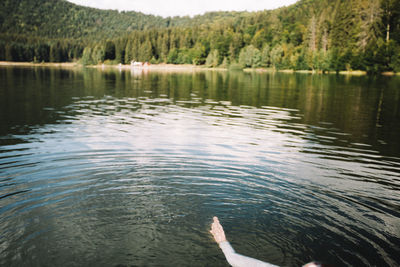 Scenic view of lake in forest