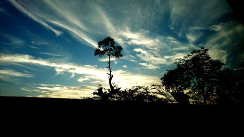 Low angle view of silhouette trees against sky