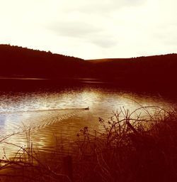 Scenic view of lake at sunset