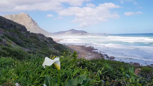 Scenic view of sea against cloudy sky