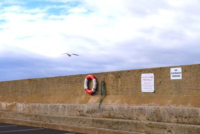 View of a bird flying against the sky. harbour wall.