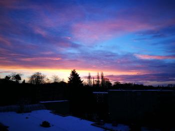 Trees against sky during sunset