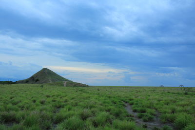 Scenic view of landscape against sky