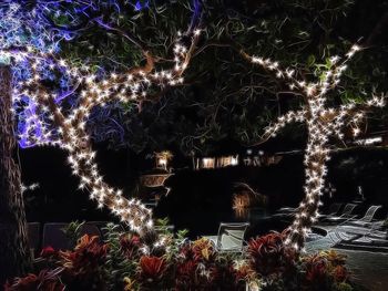 Low angle view of trees at night