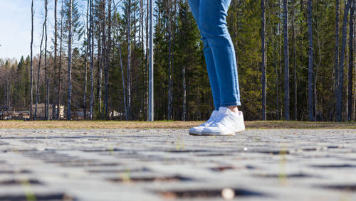 Low section of person in forest