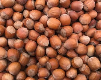 Hazelnuts nuts dried fruit market brown texture background