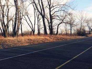 Road amidst bare trees against sky