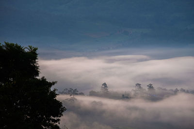 Low angle view of silhouette trees against sky