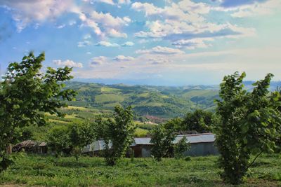 Scenic view of field against sky