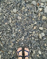 Low section of person standing on pebbles