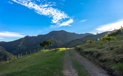 Road amidst green landscape against blue sky