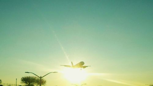 Sun shining through trees