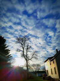 Low angle view of illuminated tree against sky