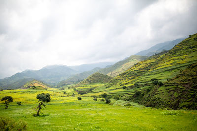 Scenic view of green landscape and mountains