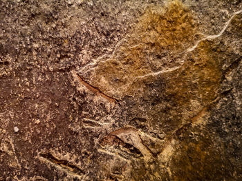 Full frame shot of a rock