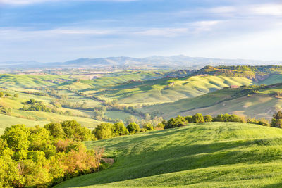 Rural rolling landscape view with fields and groves of trees in a valley in italy