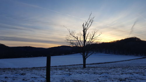 Bare trees on snow field against sky during sunset