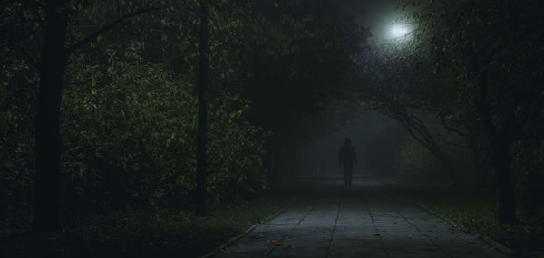 Rear view of man walking on footpath at night