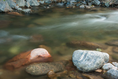 Close-up of stones in water