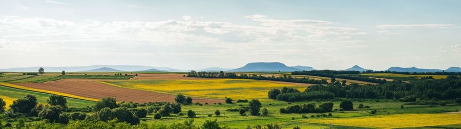 Scenic view of agricultural field against sky