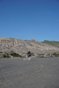 Man riding horse on dirt road against clear blue sky