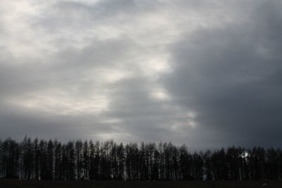 Scenic view of forest against sky during winter