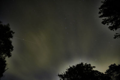 Low angle view of silhouette trees against sky at night