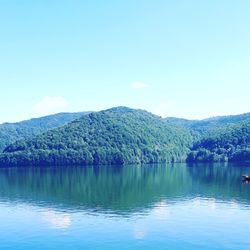 Scenic view of lake by trees against blue sky