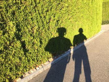 Shadow of people on footpath
