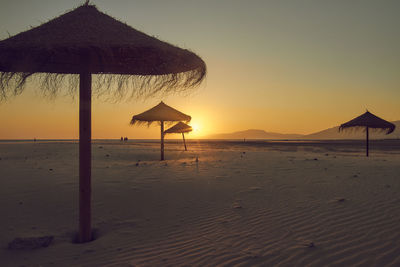 People on beach during sunset