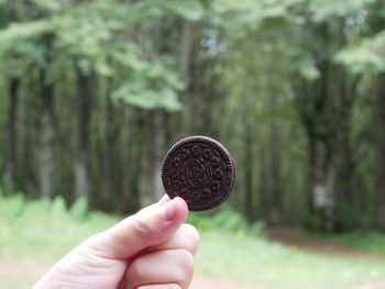 Cropped hand of child holding cookie against trees