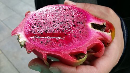 Close-up of hand holding ice cream