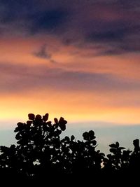 Silhouette plants against sky during sunset