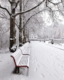 Empty benches on snow covered trees during winter