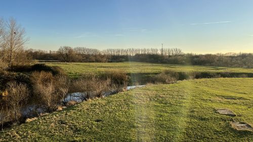 Scenic view of grassy field by lake against sky