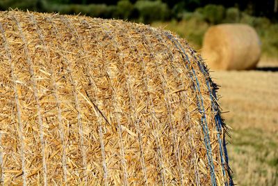 Close-up of hay bales on field
