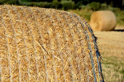 Close-up of hay bales on field