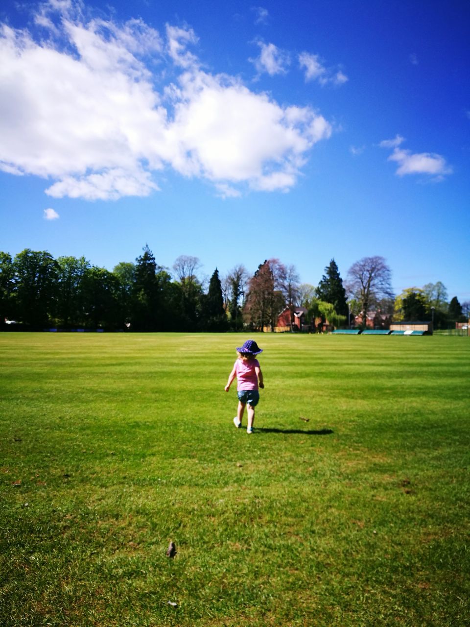 tree, grass, sky, real people, green color, cloud - sky, day, one person, growth, outdoors, full length, nature, people