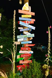 Close-up of text hanging on tree at night