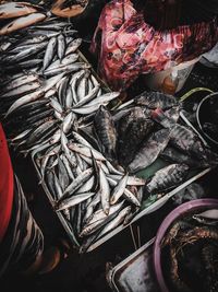 High angle view of fish for sale at market