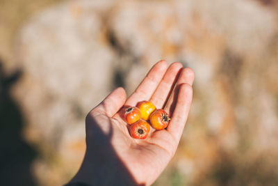 Close-up of hand holding fruit